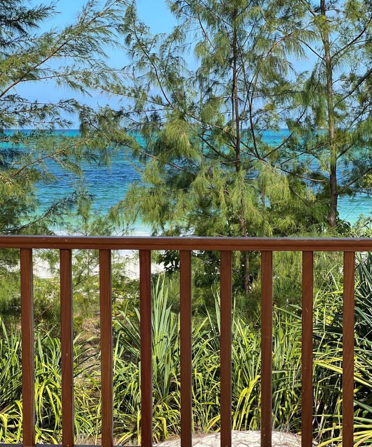 Kivuli Beach Resort Paje Exteriér fotografie