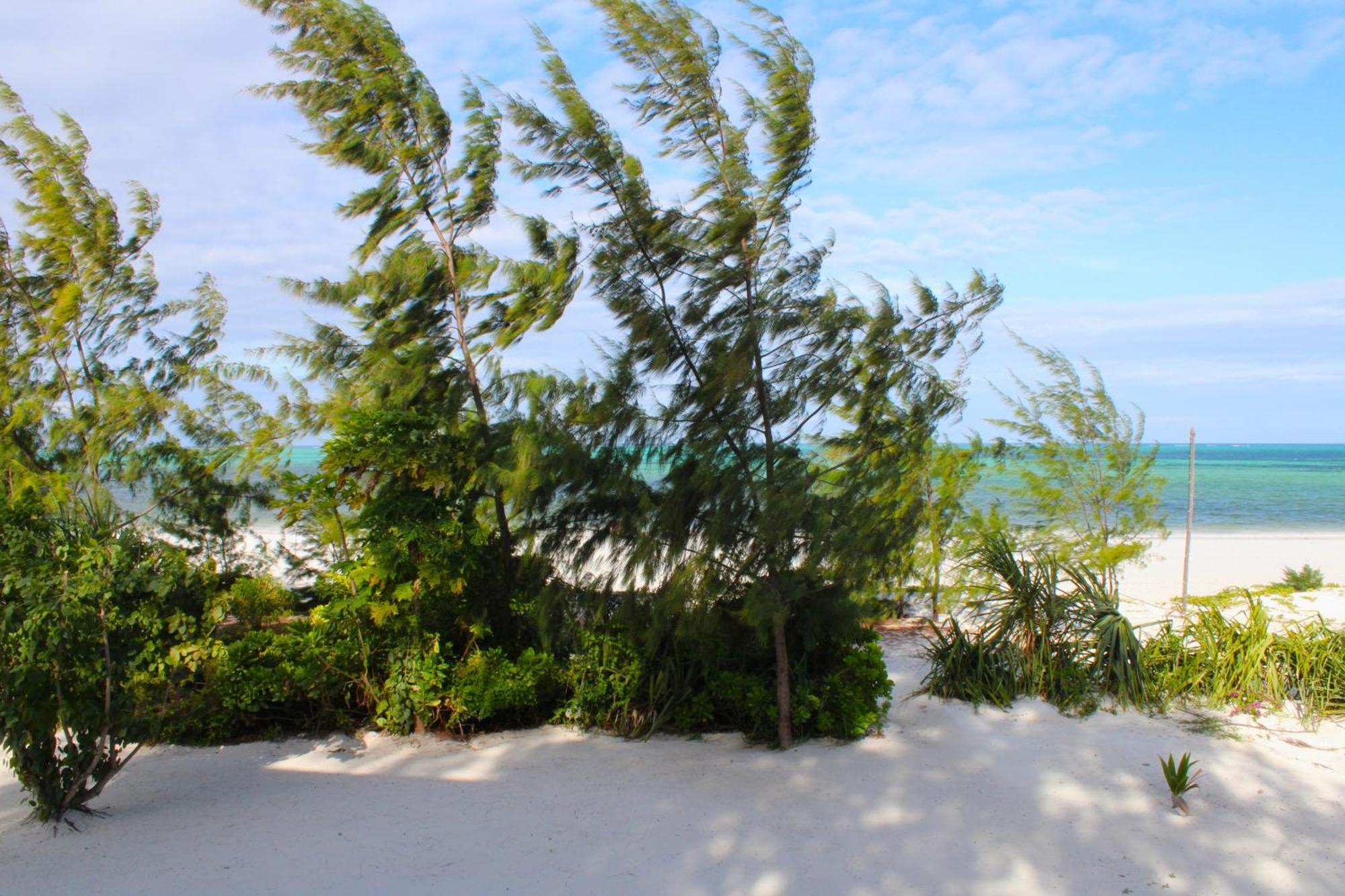 Kivuli Beach Resort Paje Exteriér fotografie