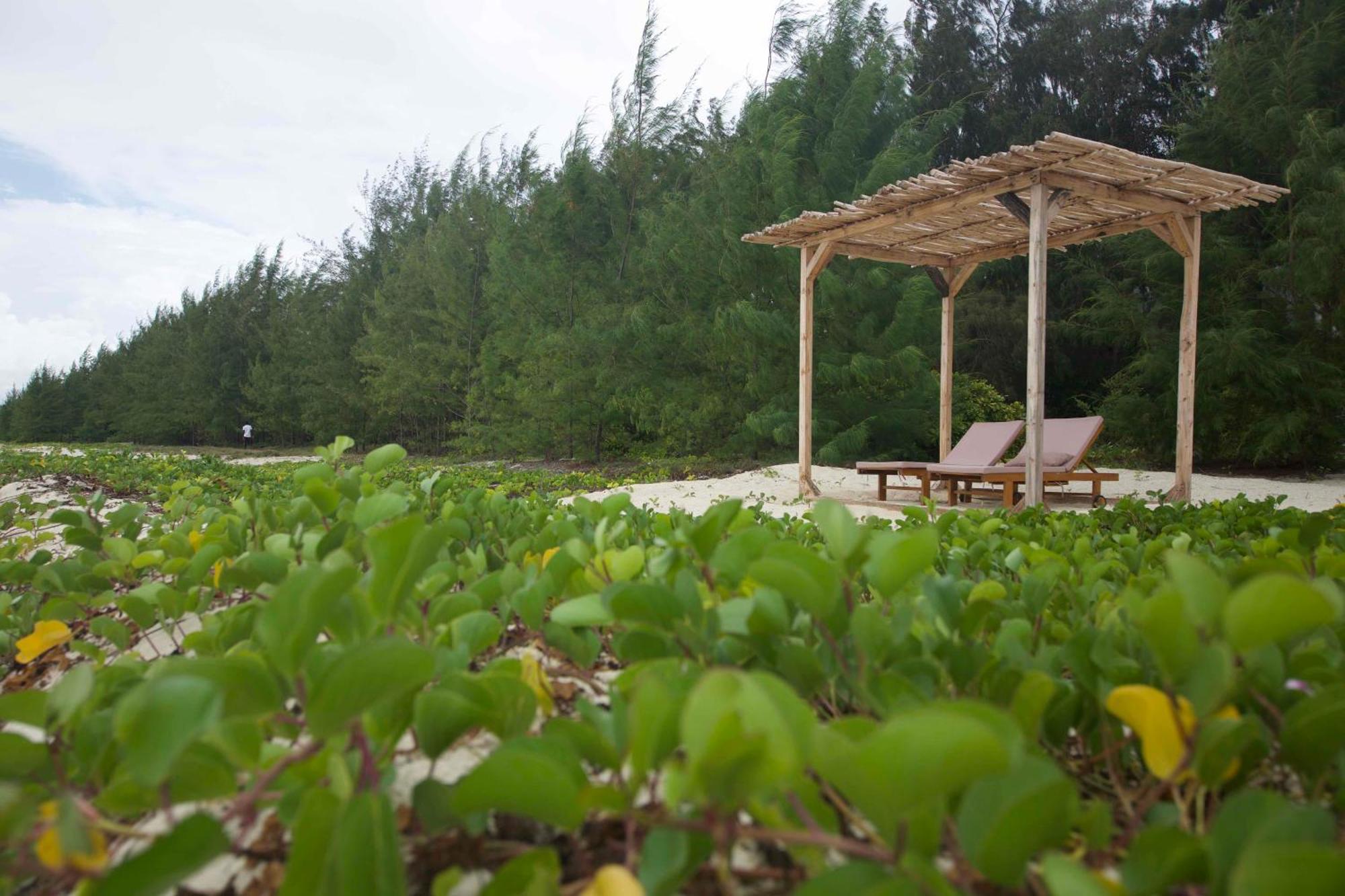 Kivuli Beach Resort Paje Exteriér fotografie
